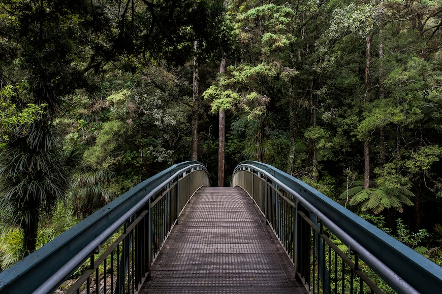 Bridge leading into a forest.
