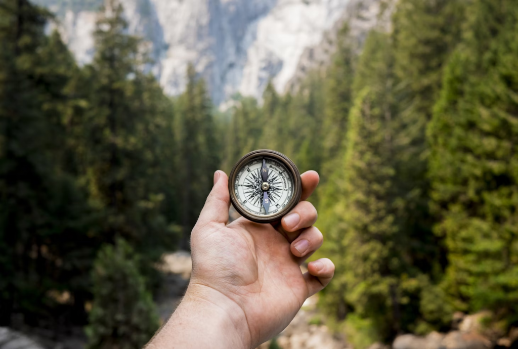 Hand holding a compass among green trees with snowy mountains in the horizon.