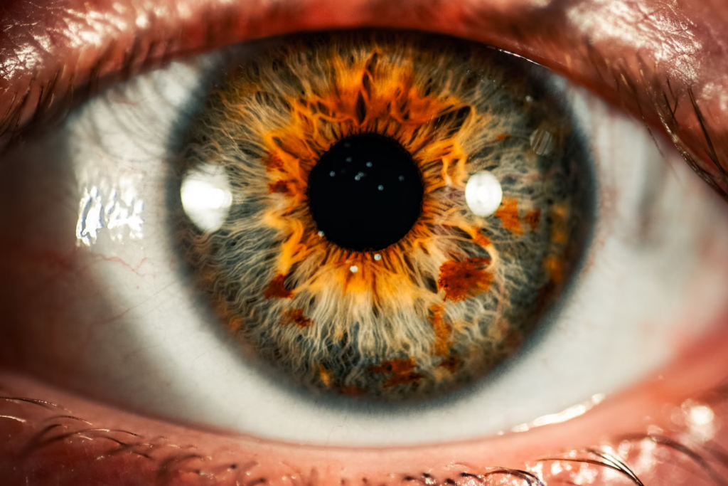 Close up of a beautiful, bright orange pupil of an eye.